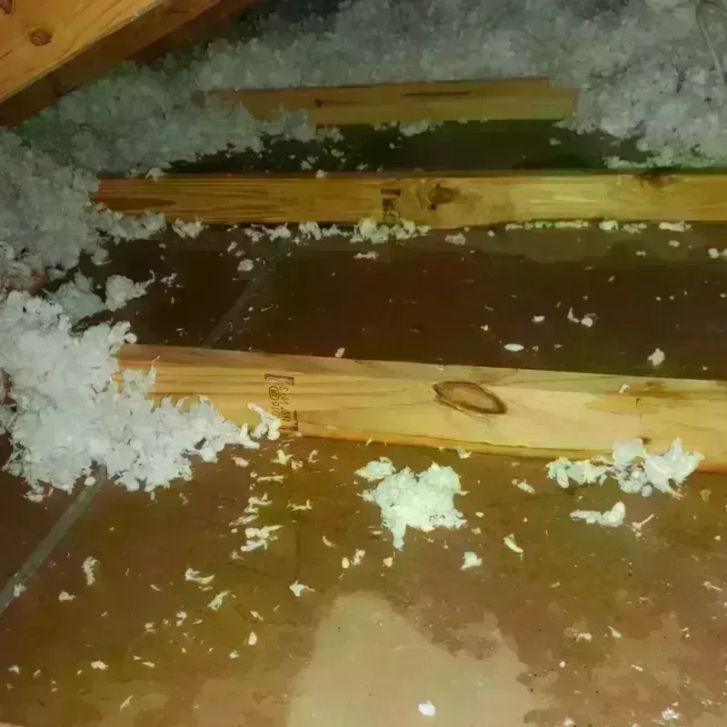 Attic Water Damage in Bryan County, GA