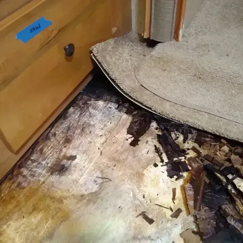 Wood Floor Water Damage in Bryan County, GA